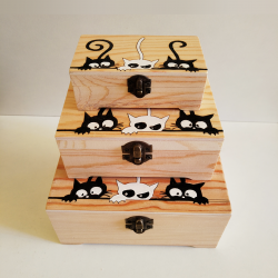 Dėžutė su katinėliais